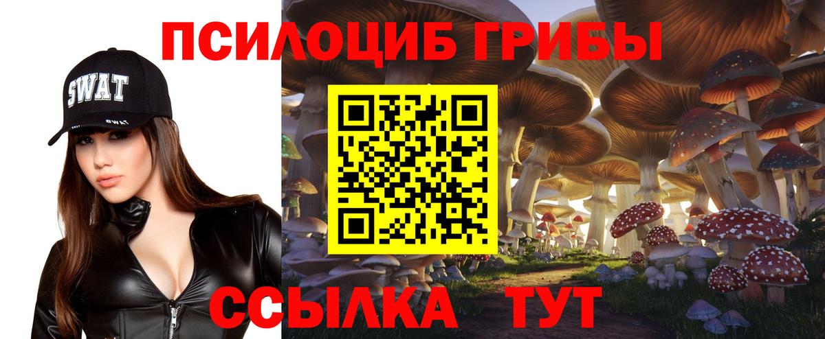 Псилоцибиновые грибы прущие грибы Ялта