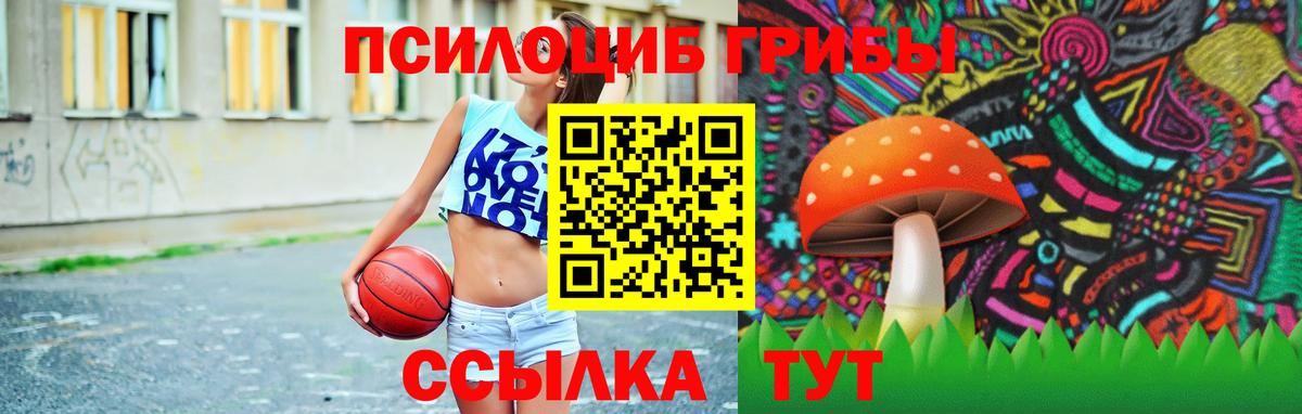 хочу наркоту  Вход с VPN  Ялта  Галлюциногенные грибы GOLDEN TEACHER  Галлюциногенные грибы MAGIC MUSHROOMS 